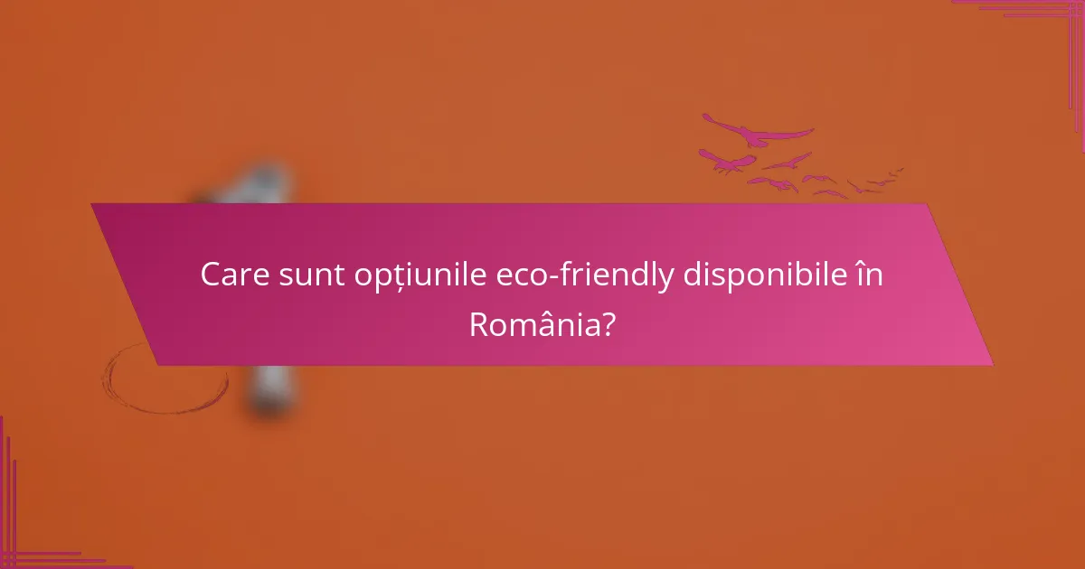 Care sunt opțiunile eco-friendly disponibile în România?