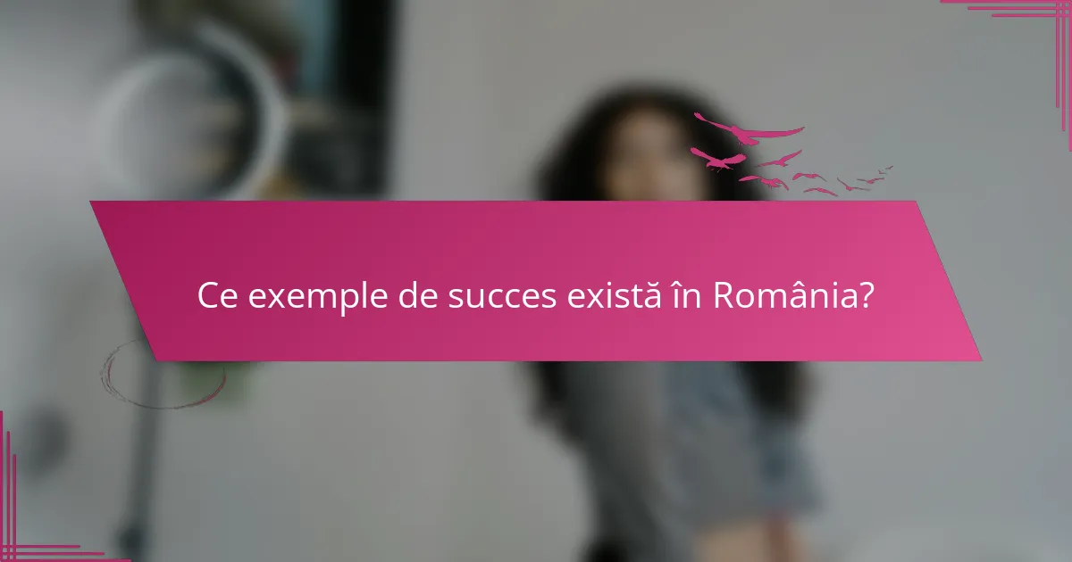 Ce exemple de succes există în România?