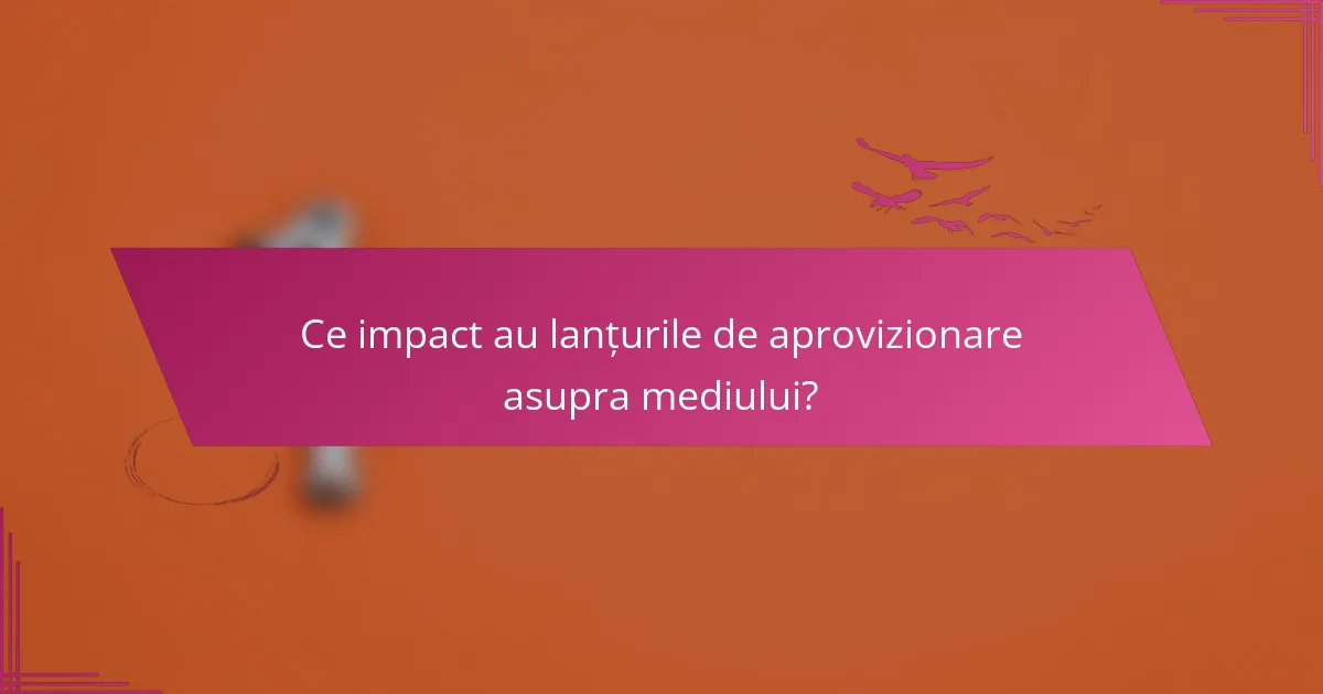 Ce impact au lanțurile de aprovizionare asupra mediului?
