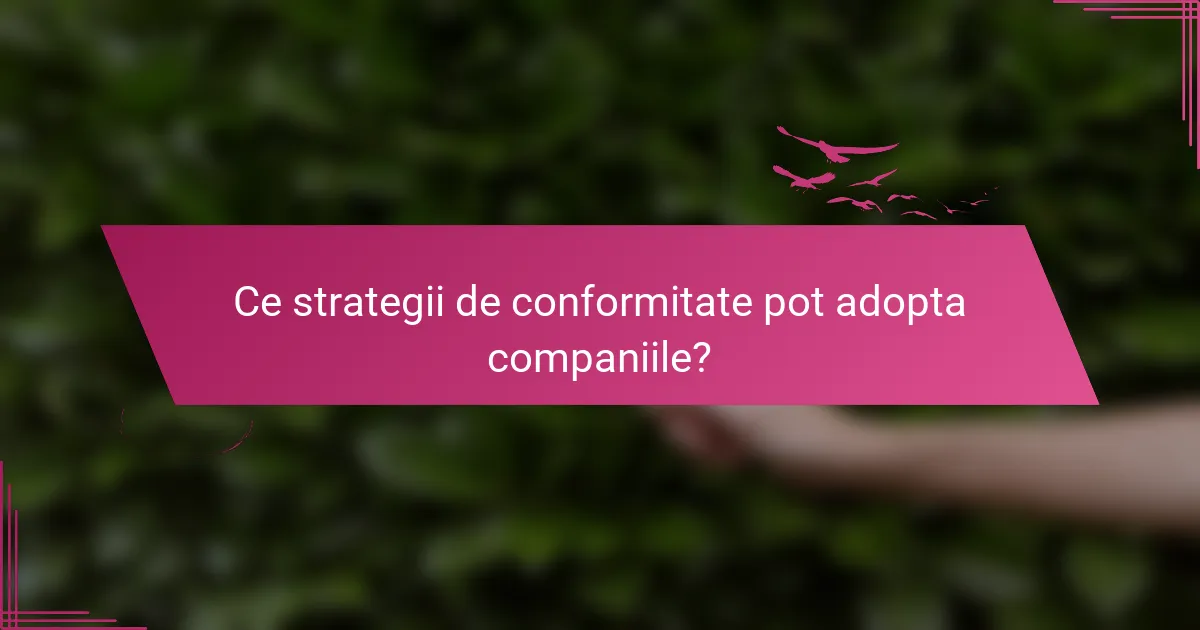 Ce strategii de conformitate pot adopta companiile?