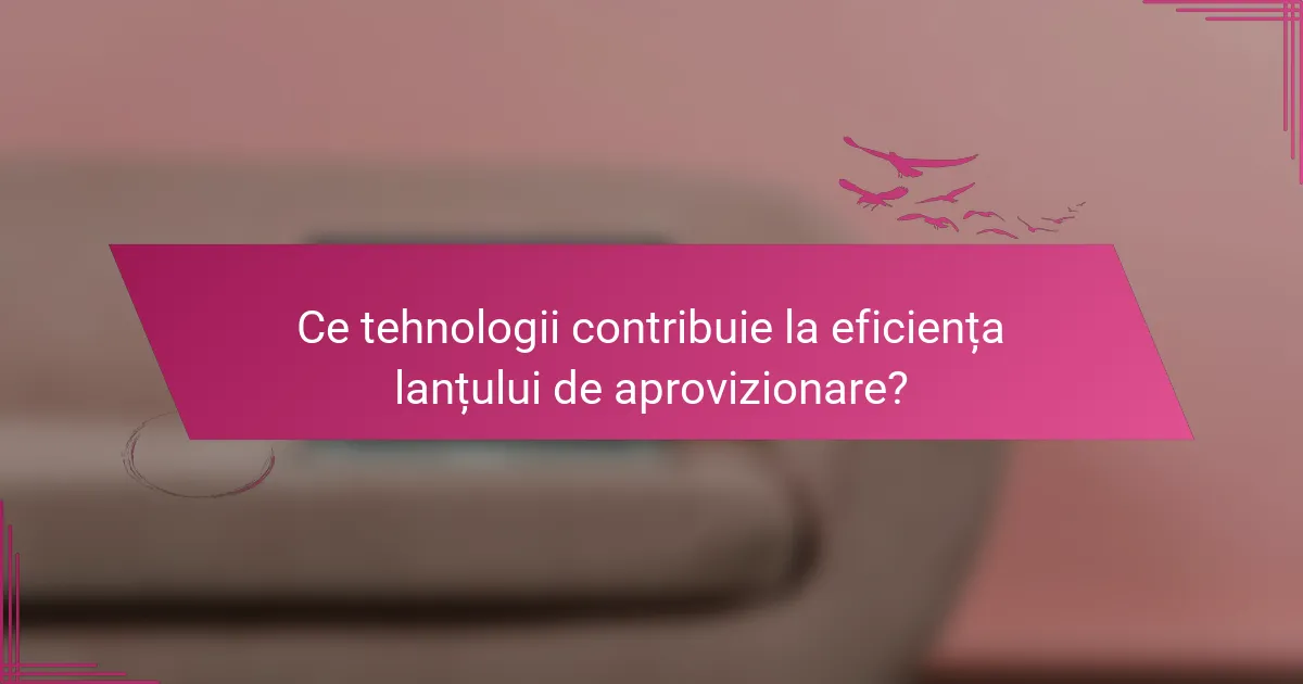 Ce tehnologii contribuie la eficiența lanțului de aprovizionare?
