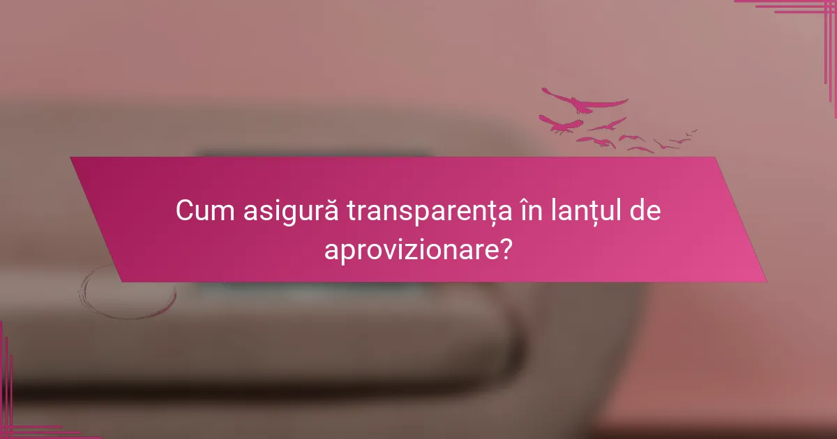 Cum asigură transparența în lanțul de aprovizionare?