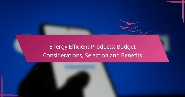 Produse Energetic Eficiente: Considerații Bugetare, Selecție și Beneficii