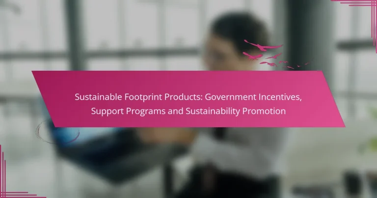 Produse Sustainable Footprint: Incentive Guvernamentale, Programe de Suport și Promovarea Durabilității